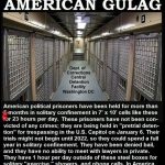 American-Gulag